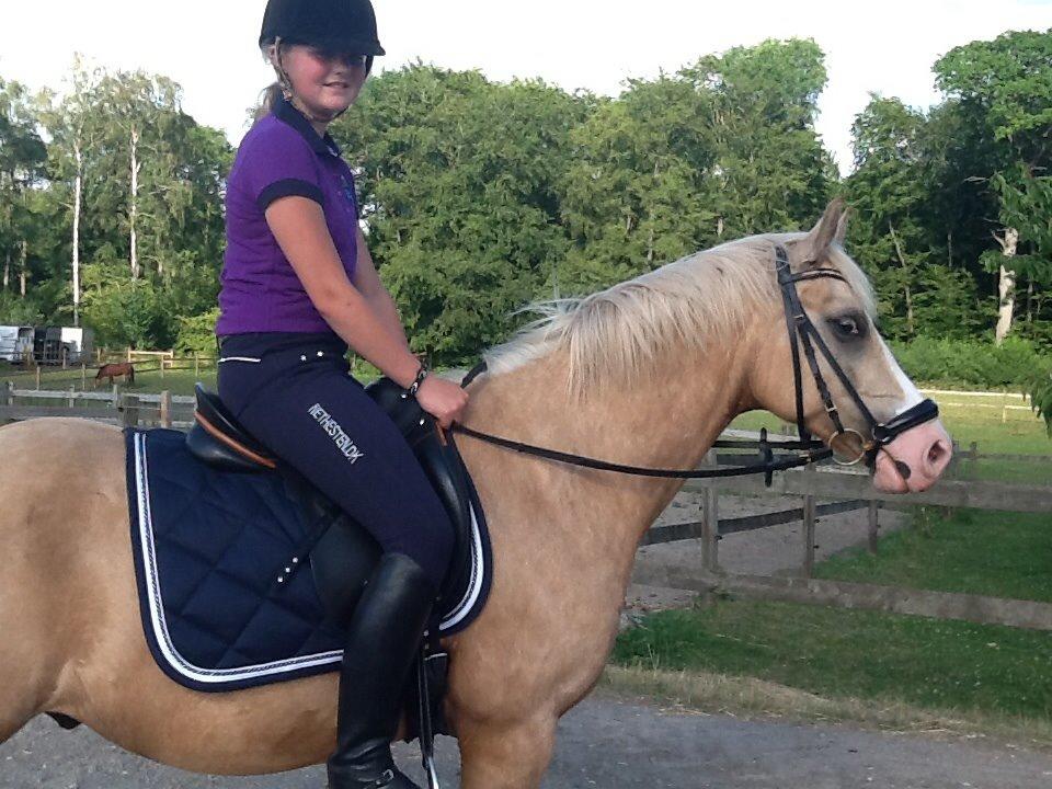 Anden særlig race  Fursten Fire        ( B-Pony ) billede 10