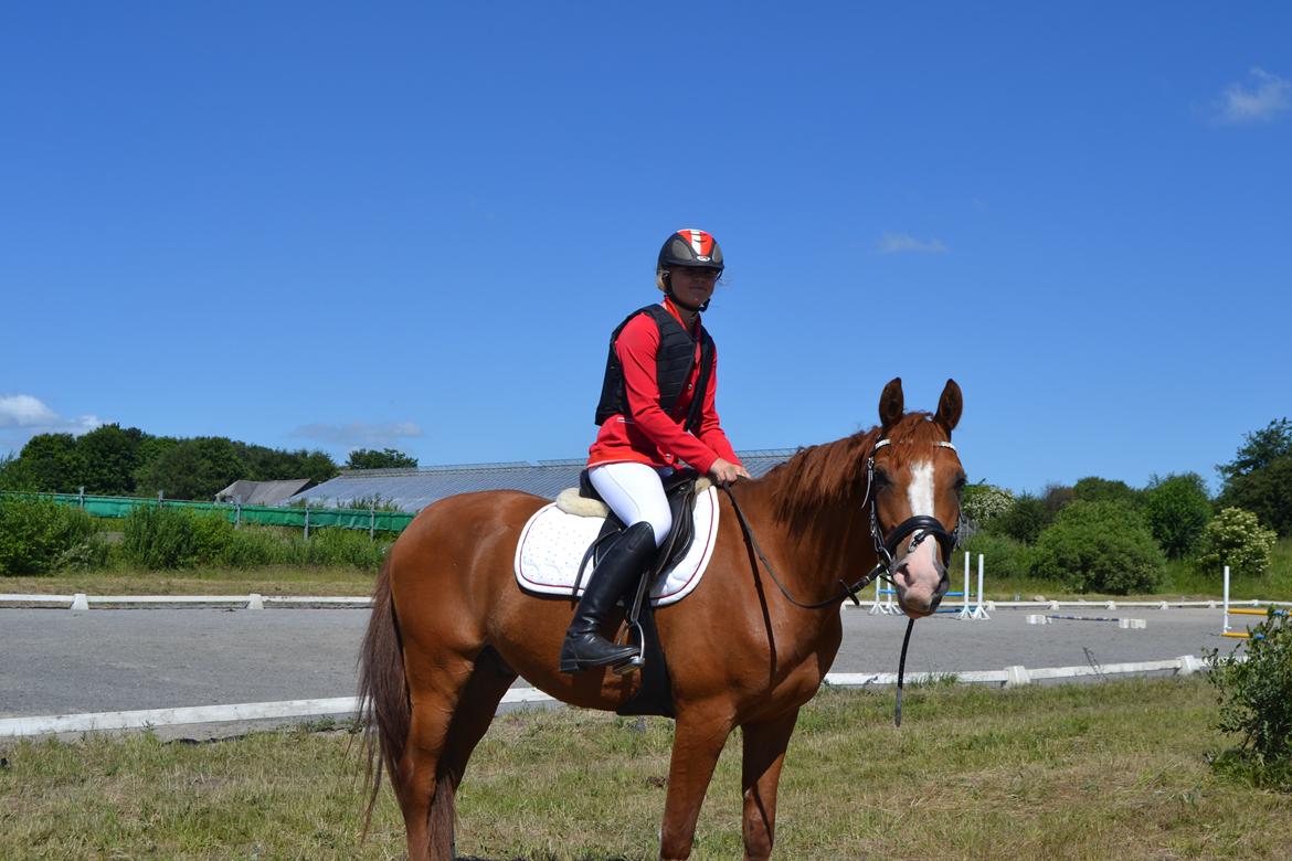 Anden særlig race Havens Astian billede 12