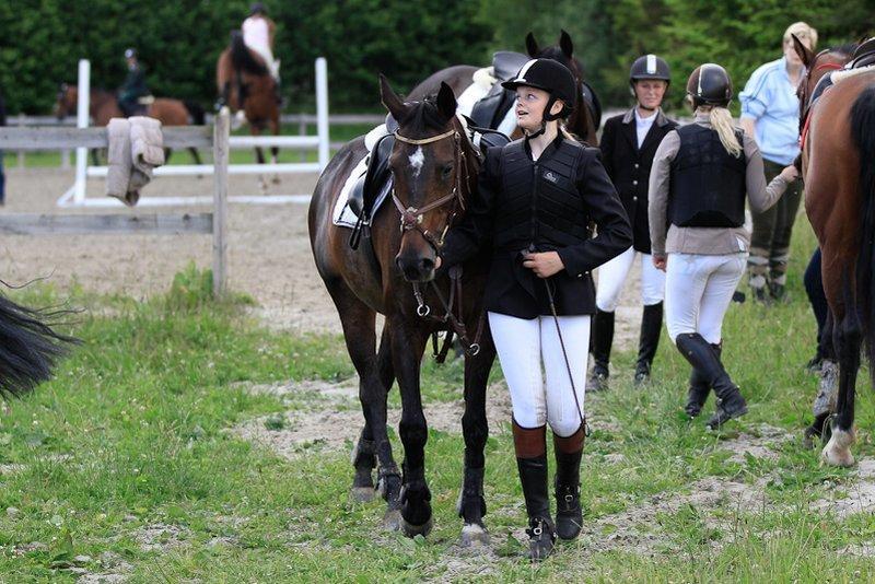 Dansk Varmblod Egges Vendetta billede 18