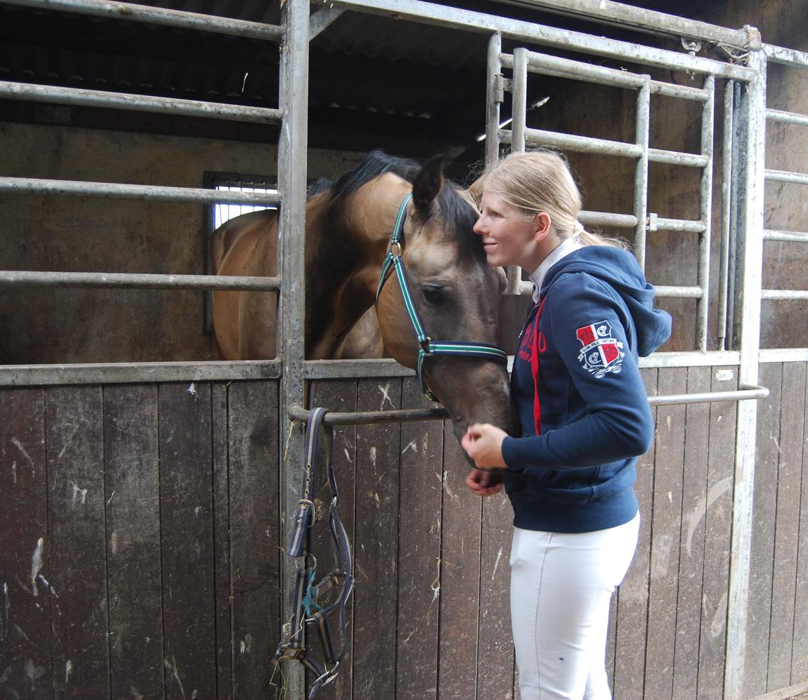 Akhal-Tekiner SHERHAN billede 27