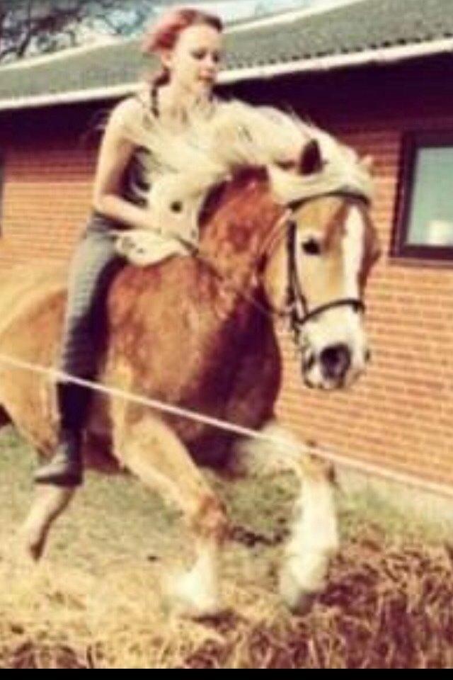 Haflinger Frederikke! billede 15