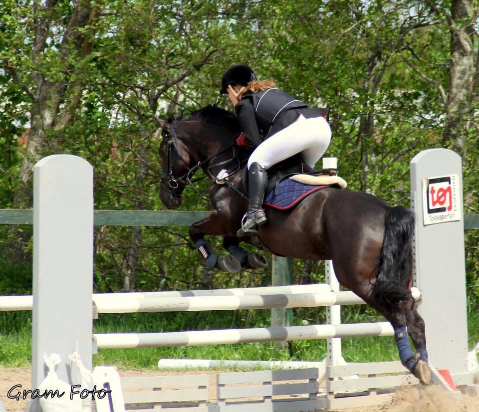 Anden særlig race Fie * My soulmate* <3 billede 25