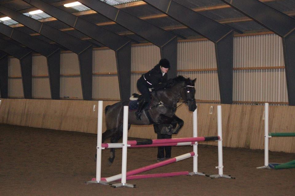 Anden særlig race Fie * My soulmate* <3 - Fie over 110 cm :-) billede 29