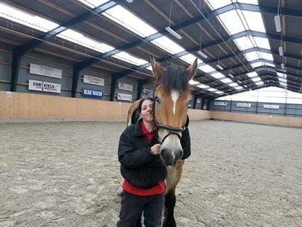 Ardenner Arne billede 7