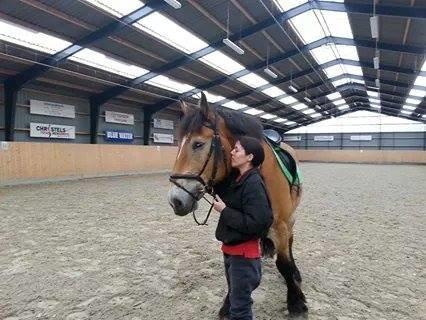 Ardenner Arne billede 8