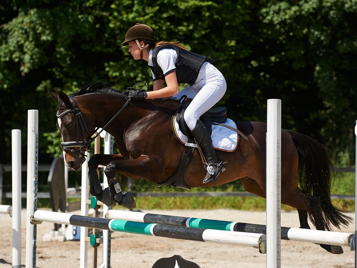 DSP Sebastian B-pony  - Sejeste hest! <3 billede 3