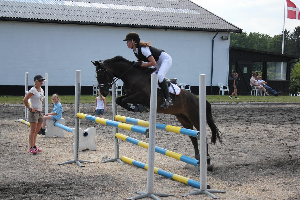 DSP Sebastian B-pony  - Her på opvarmningen til LA billede 11