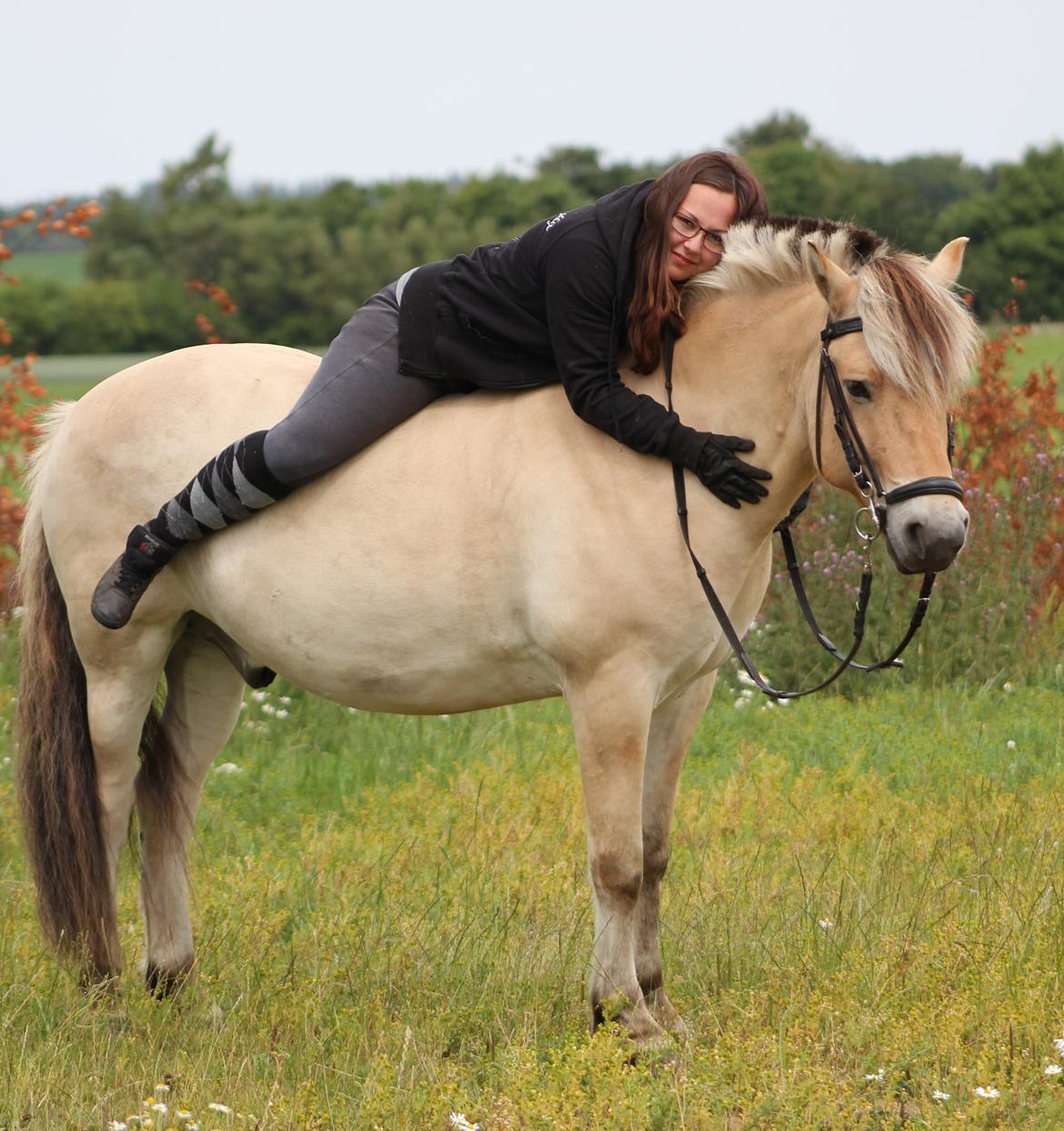 Fjordhest Tjalfe Fjordvang - Min allerbedste ven <3 billede 11