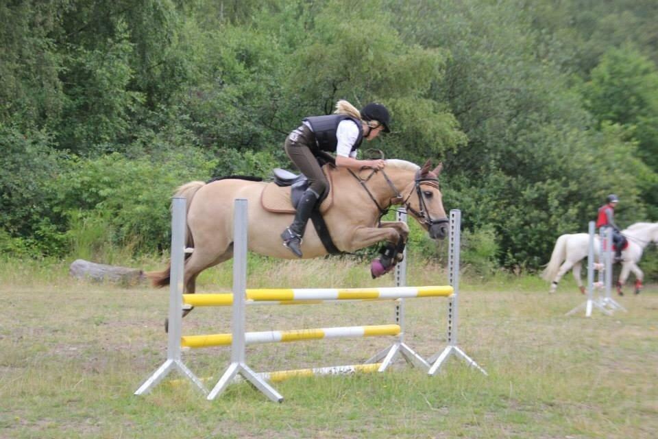 Anden særlig race Daisy (Østerlund's Rumkugle) - Ridelejr 2014 <3 billede 11