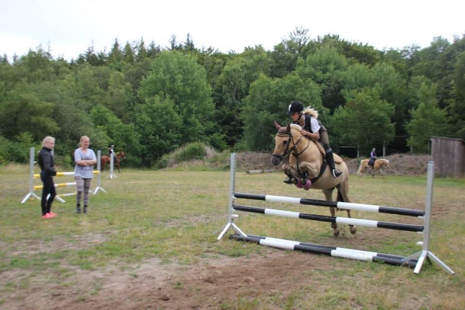 Anden særlig race Daisy (Østerlund's Rumkugle) - <3 billede 13