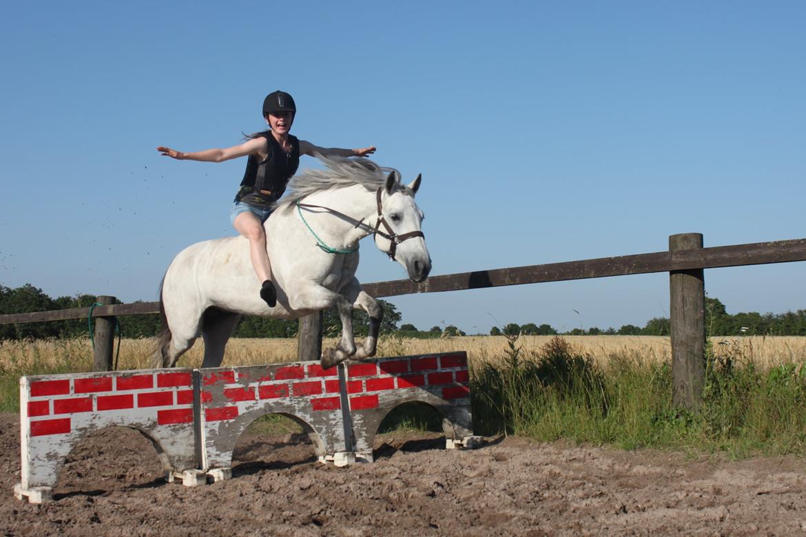 Connemara Roisin Leah - Altid plads til sjov! :P billede 10