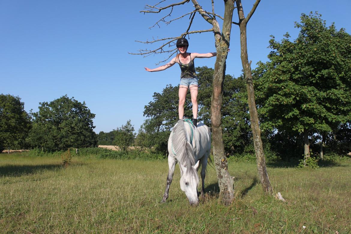 Connemara Roisin Leah billede 11