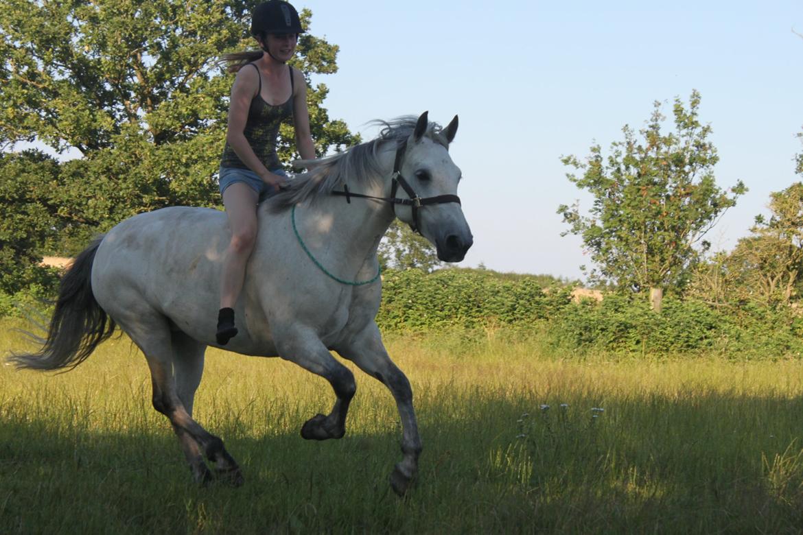 Connemara Roisin Leah - Venner igennem alt! <3 billede 12