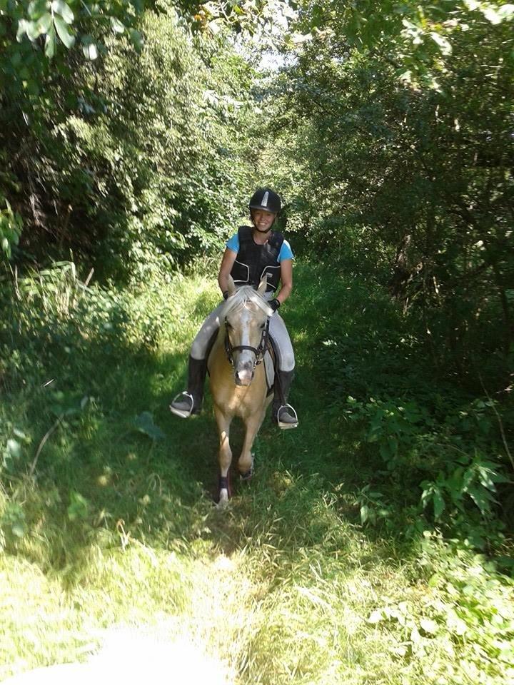 Anden særlig race Topazes conquistador - Første rigtige skovtur <3 billede 11