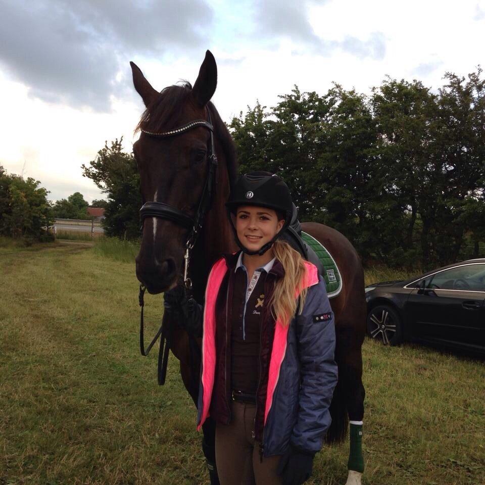 Dansk Varmblod Ørevadbros Dior - Et lille billede fra DYD-stævnet i Hjallerup, som vi startede for nylig. Det super flotte Rider By Horse underlag er sponsoreret af vores sponsore Hjallerup Maskinforretning fra Brønderslev afdelningen. billede 7