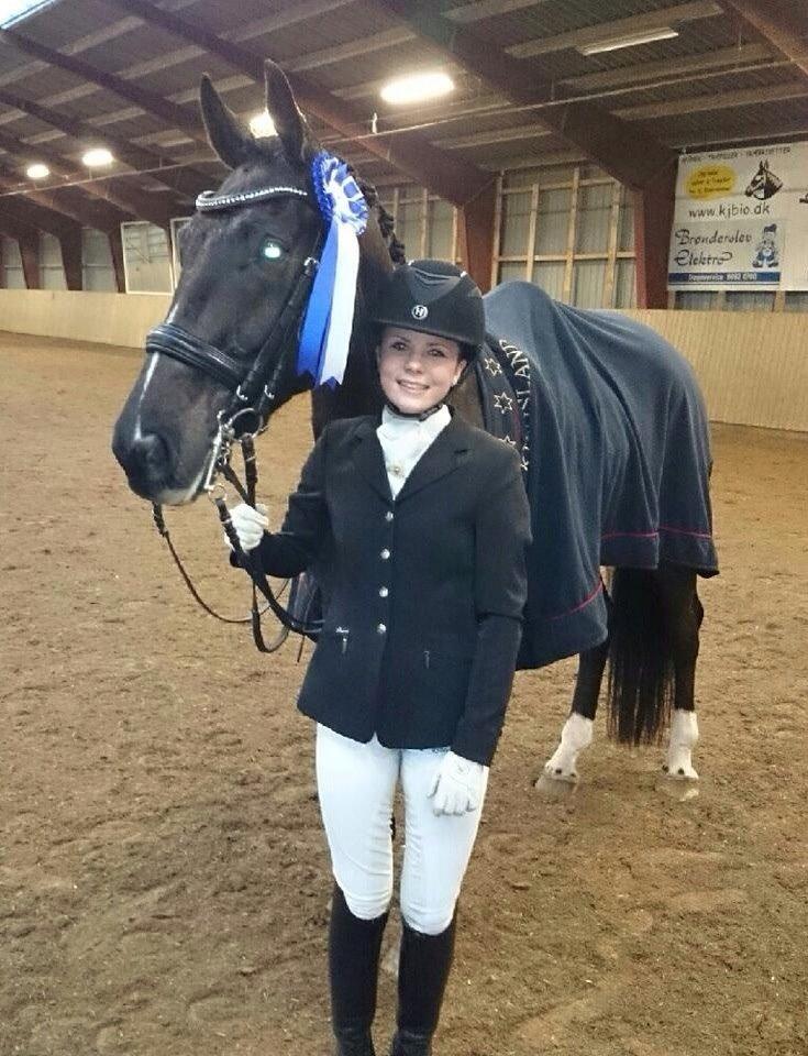 Dansk Varmblod Ørevadbros Dior - Første MB-2 til 65% og hermed anden kvalifikation til DM og fuldstændig kvalifikation til B-stævner. billede 8