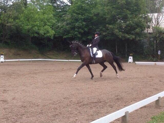 Dansk Varmblod Ørevadbros Dior - Et super godt stævne på Mors, grisens første MB3 til over 65% Kan ikke andet end at være stolt! <3 billede 16