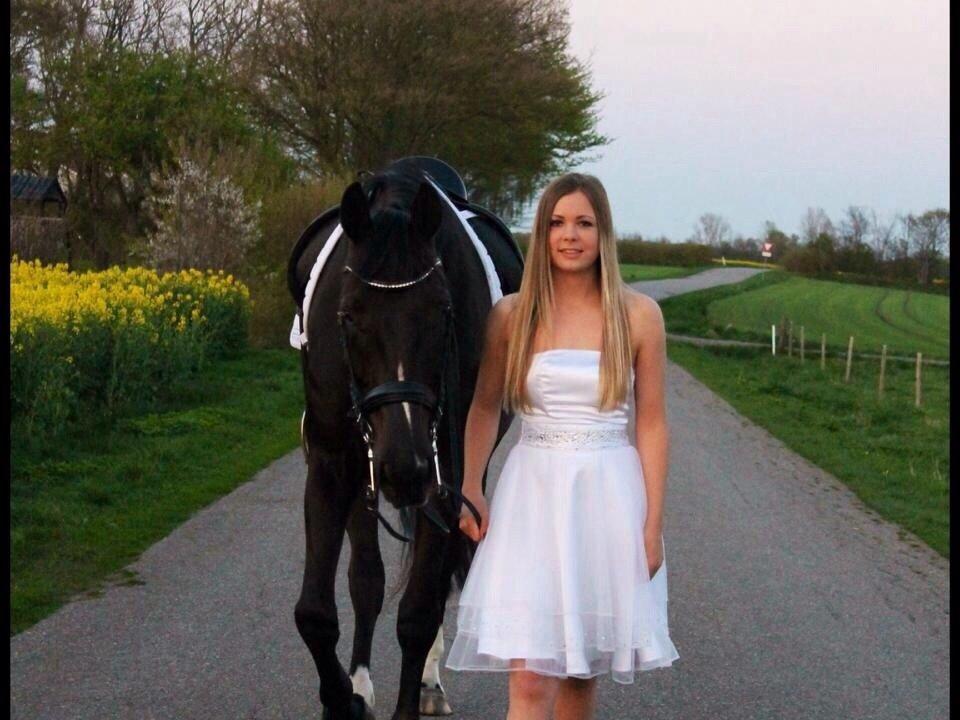Dansk Varmblod Ørevadbros Dior - Grisen og jeg var lige konfirmations modeller. Super fed oplevelse! billede 19