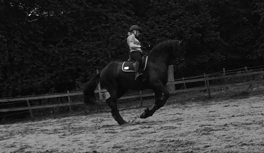 Frieser Freja billede 15