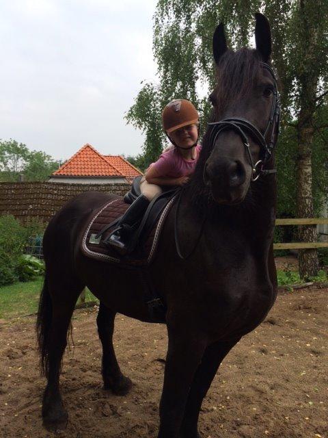 Frieser Freja billede 16