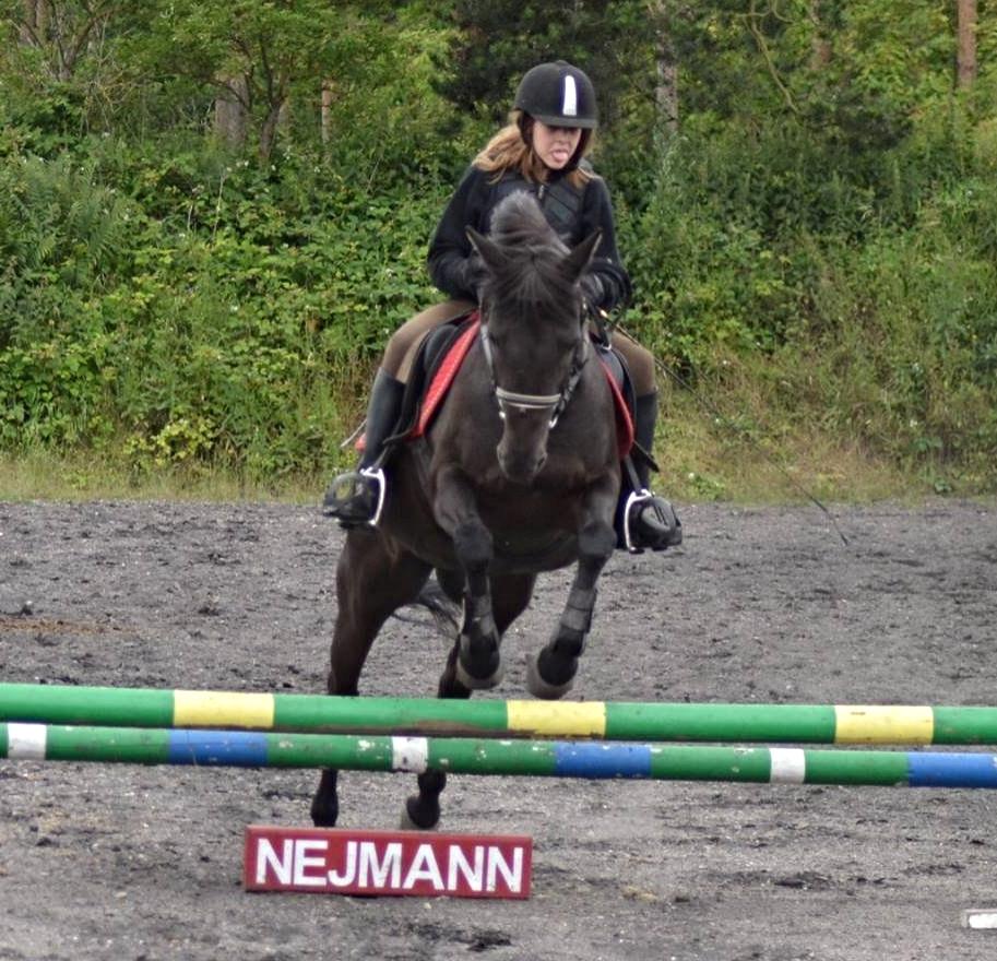 New Forest Martini hedevang billede 16