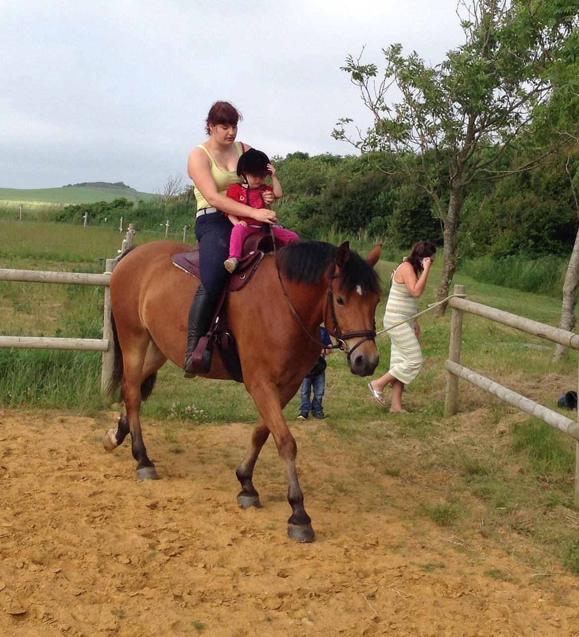 Knabstrupper Nørrebøgegaardens Macon SOLGT billede 9