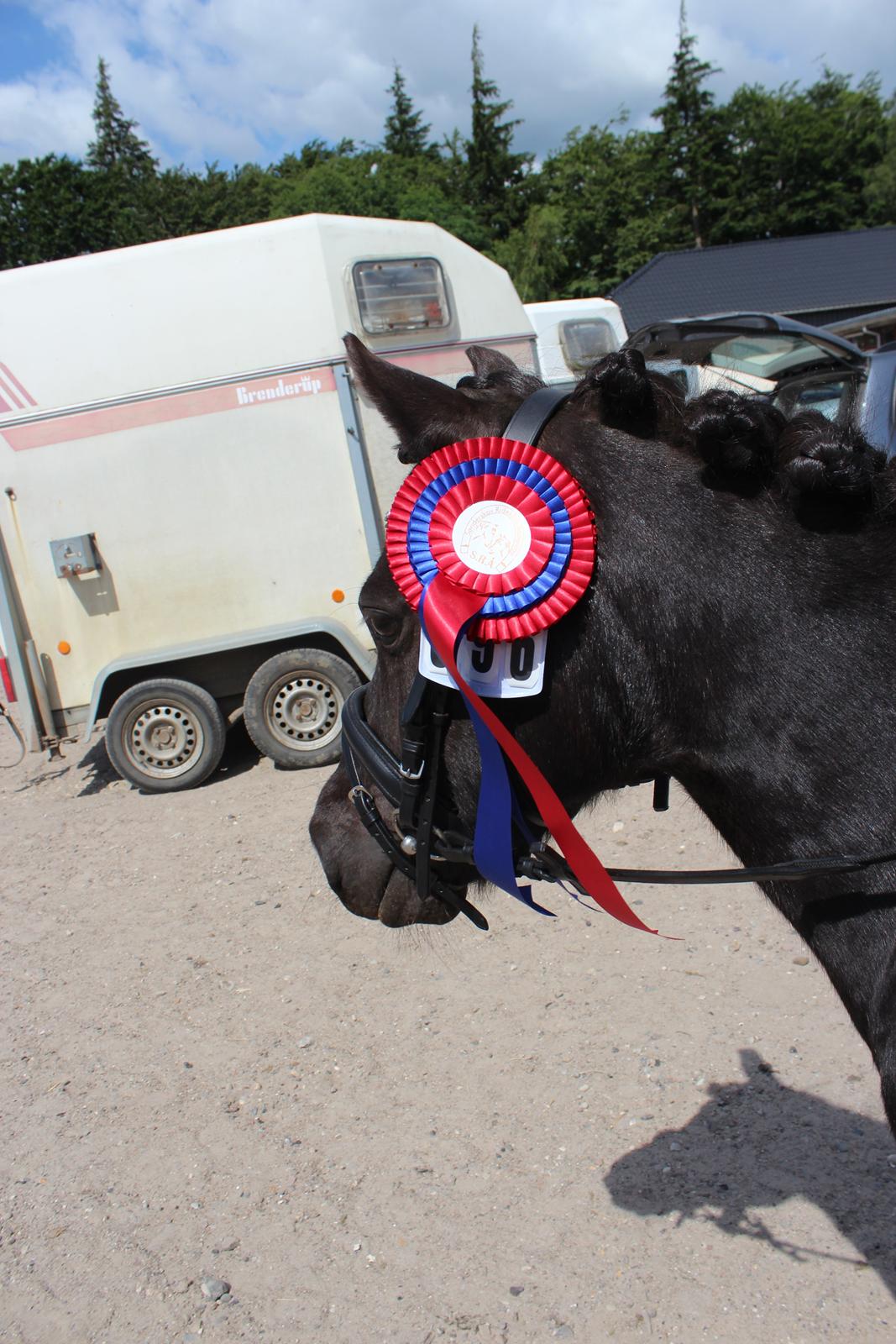 Anden særlig race Tarzan - Dygtig Tarzan kun øvet 2dage før :) så stolt på dig billede 14