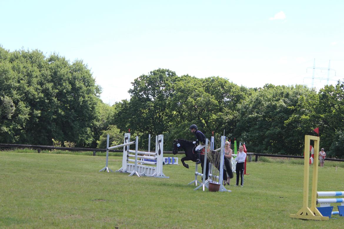 Anden særlig race Tarzan billede 22