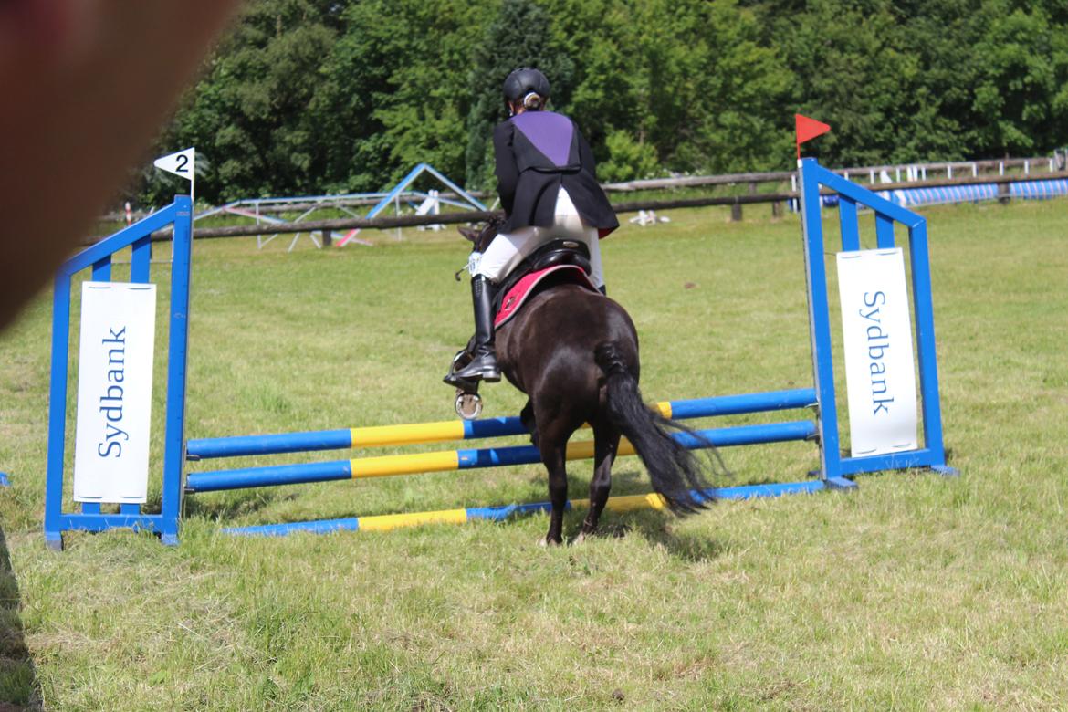 Anden særlig race Tarzan billede 17