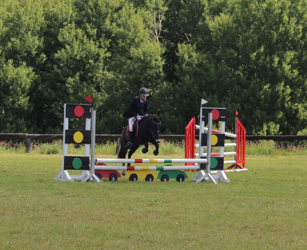 Anden særlig race Tarzan billede 23