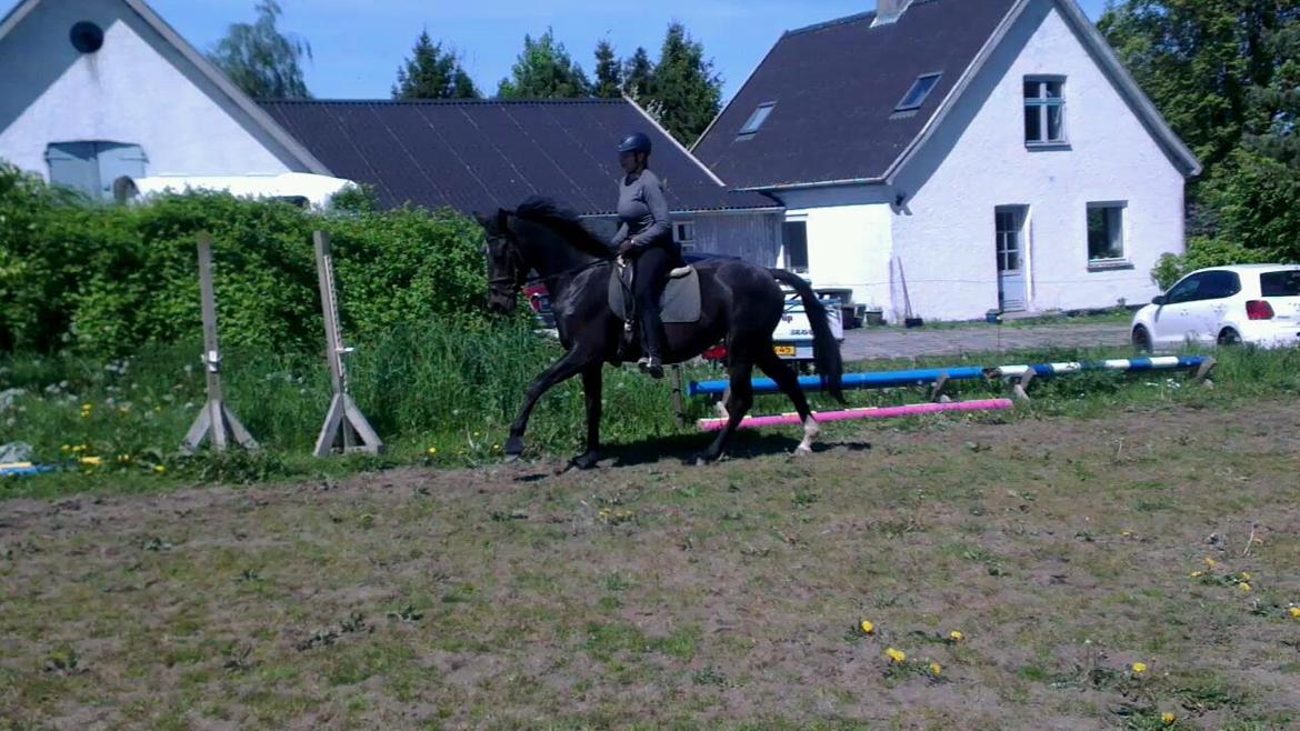 Oldenborg Medina af legaardslund billede 31