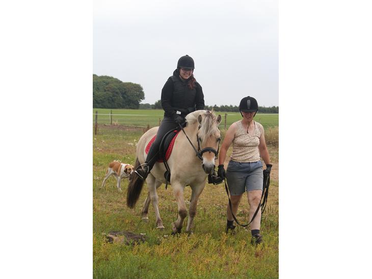 {{currentPhoto.altText}} billede {{currentPhoto.number}}