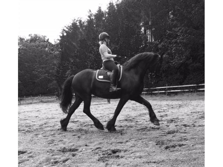 {{currentPhoto.altText}} billede {{currentPhoto.number}}