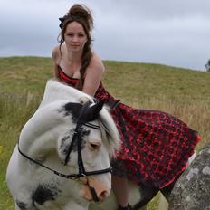 Irish Cob Saint Epona of Killarney