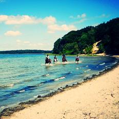 DSP Stenbakkegårds hoopers creek