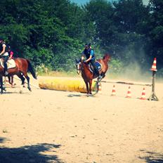 DSP Stenbakkegårds hoopers creek