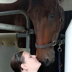 Anden særlig race Iberia S 3 *For evigt elsket <3*