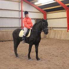 Frieser Jack Whiskey (Bassen <3)