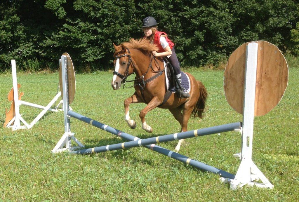 DSP Horsmarks Diva Duchess (SOLGT) billede 9