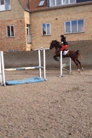 DSP Flying dutchmann  billede 6