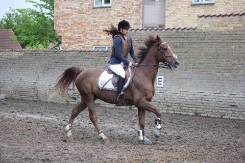 DSP Flying dutchmann  billede 13