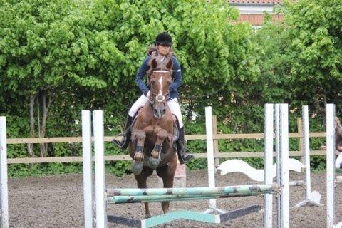 DSP Flying dutchmann  billede 14