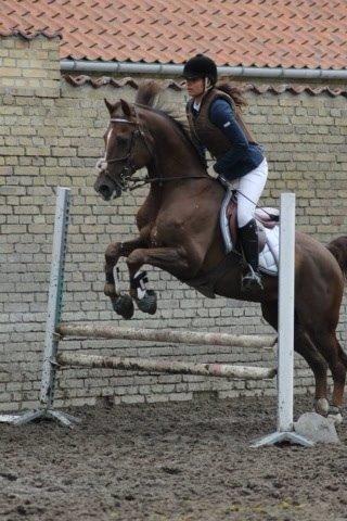 DSP Flying dutchmann  billede 17