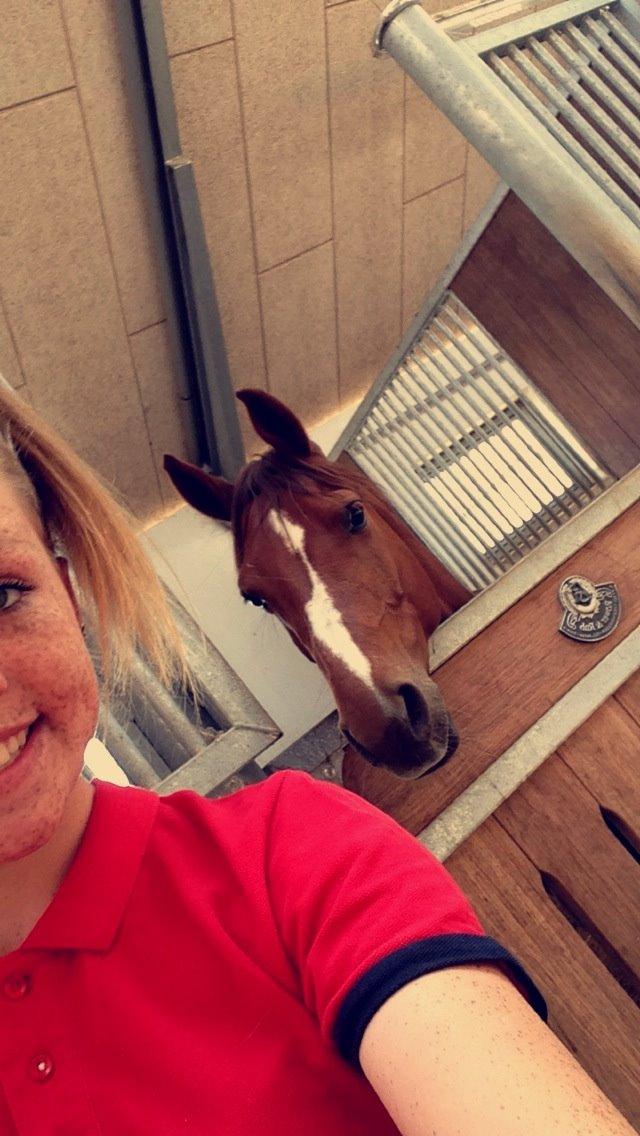 DSP Hedemands Choice billede 9