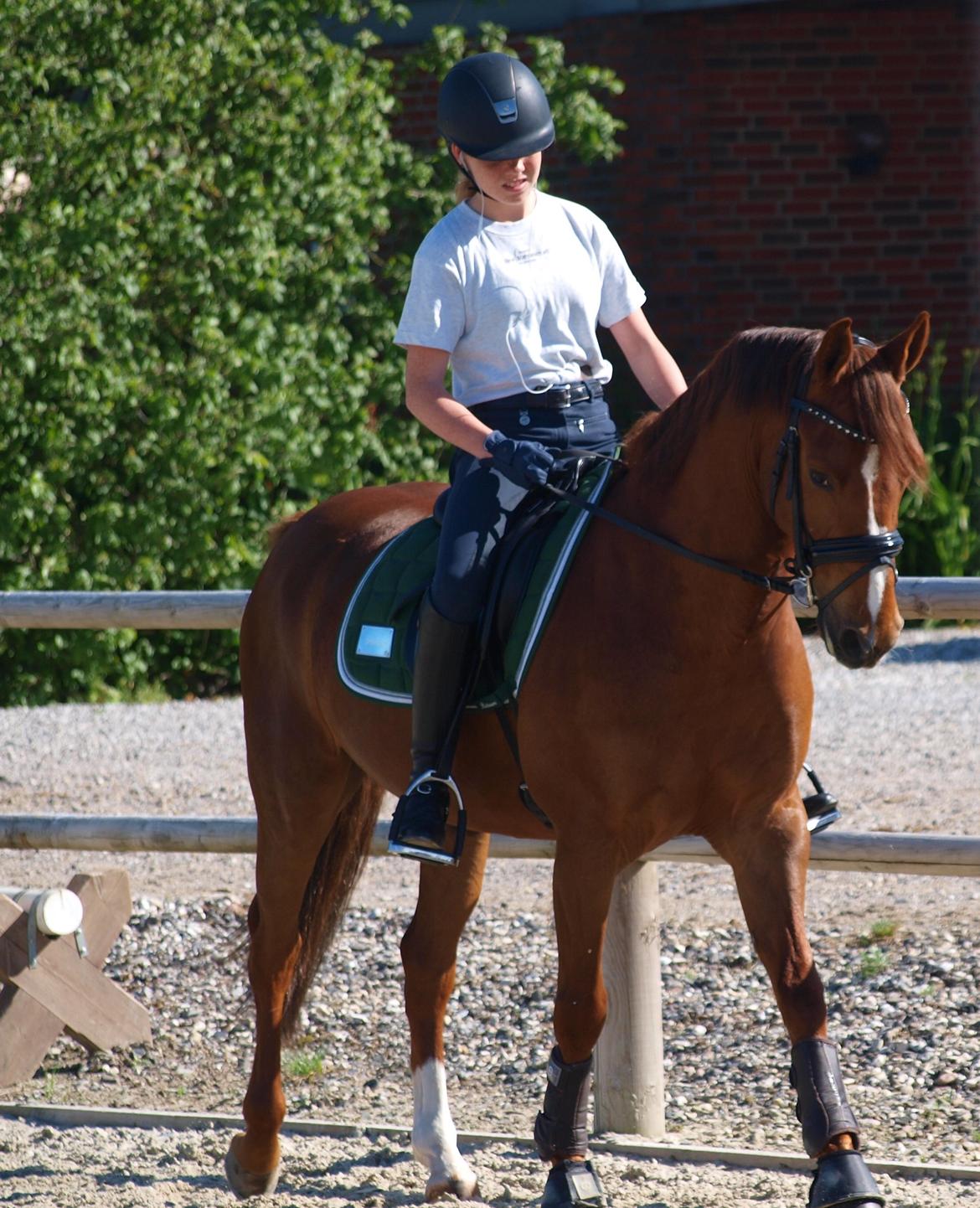 DSP Hedemands Choice billede 4