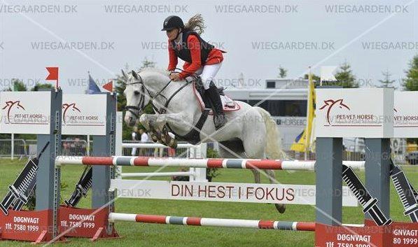 DSP Stald P.R. Bisse - Bækgaarden 2014 - MB* A og 2. plads billede 3