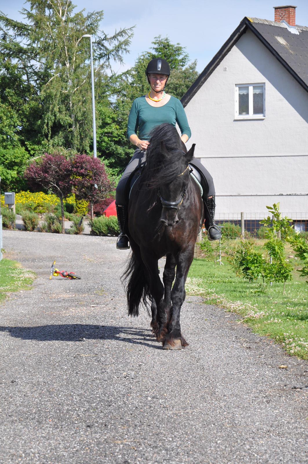 Frieser Tetze Fan Harns billede 16