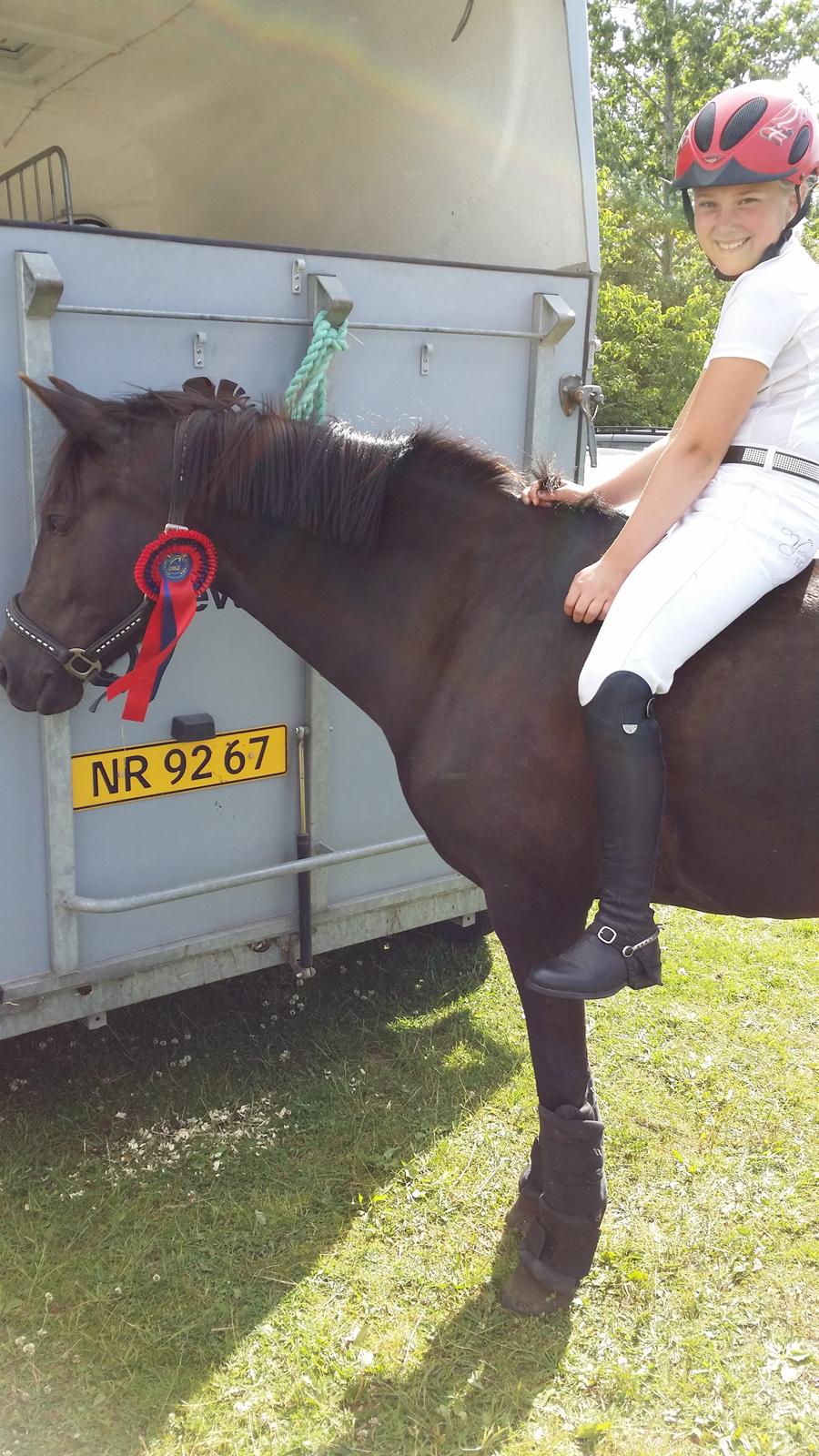 New Forest galsgårds ally billede 4