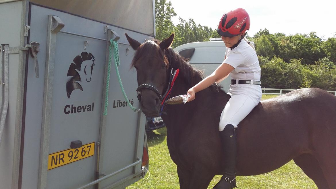 New Forest galsgårds ally billede 5