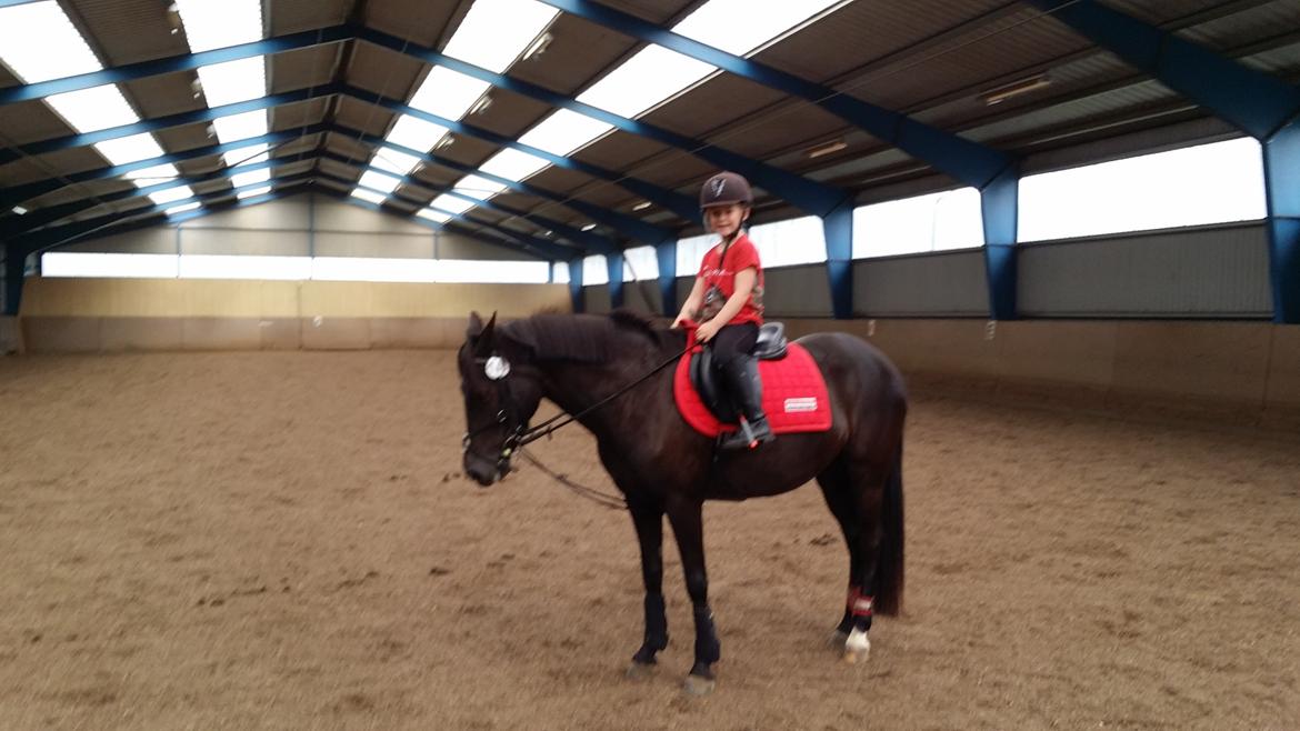 New Forest galsgårds ally billede 6